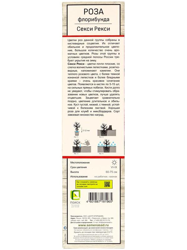 Саженец Роза флорибунда 