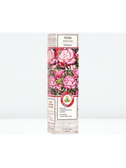 Саженец Роза плетистая 