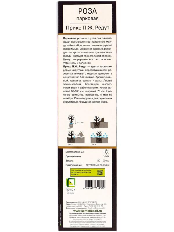 Саженец Роза Гийо парковая 