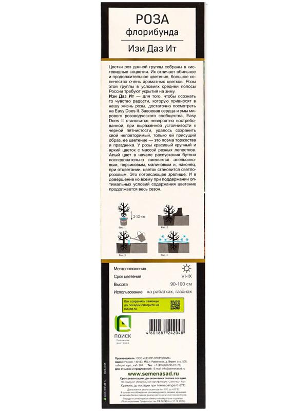 Саженец Роза Хакнесс флорибунда 