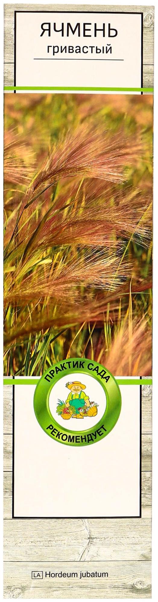 Ячмень гривастый, туба, 1 шт, Весна 2025