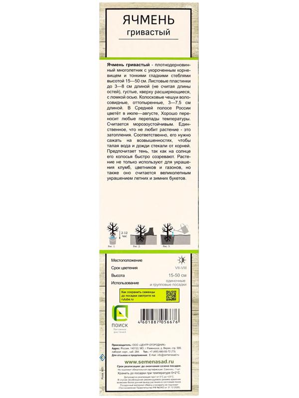 Ячмень гривастый, туба, 1 шт, Весна 2025