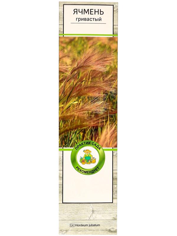 Ячмень гривастый, туба, 1 шт, Весна 2025