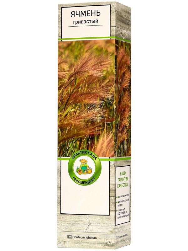 Ячмень гривастый, туба, 1 шт, Весна 2025