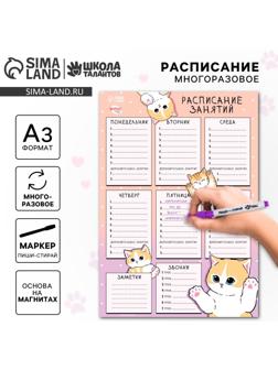 Магнитное расписание уроков многоразовое «Забавные котики», А3, с маркером