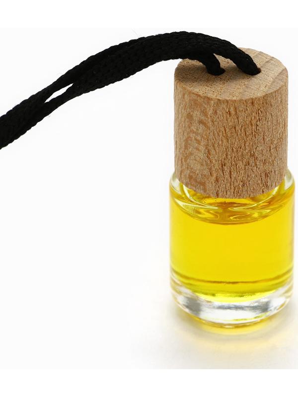 Ароматизаторы для машины новогодние «Запах волшебства и сказки», ваниль, дыня, яблоко, 3 шт