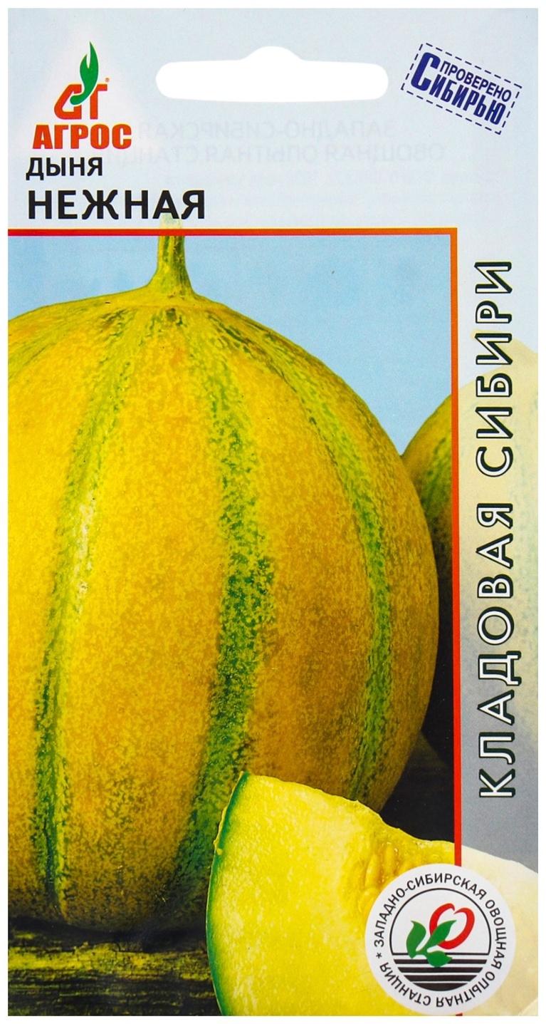 Семена Дыня