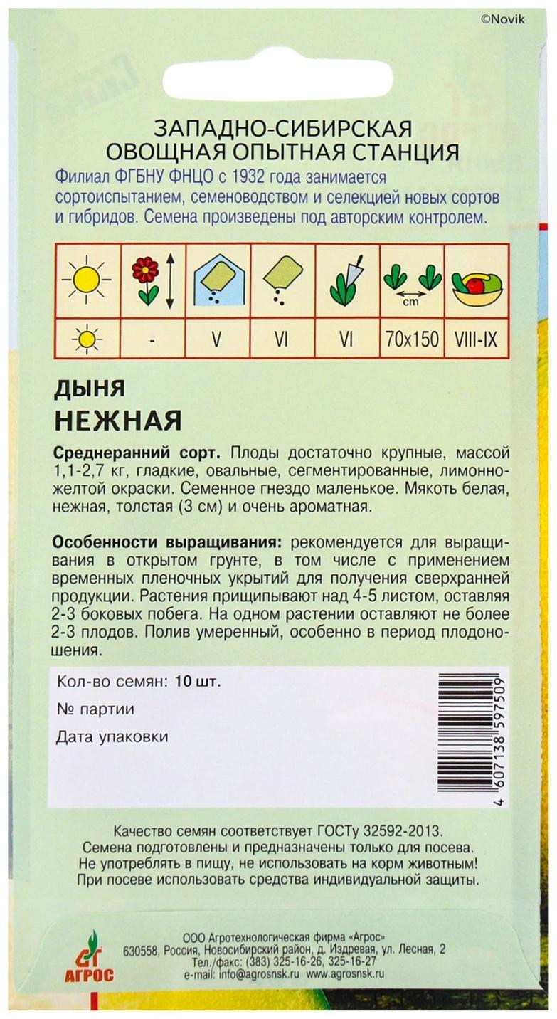 Семена Дыня