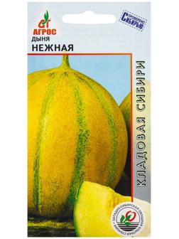 Семена Дыня