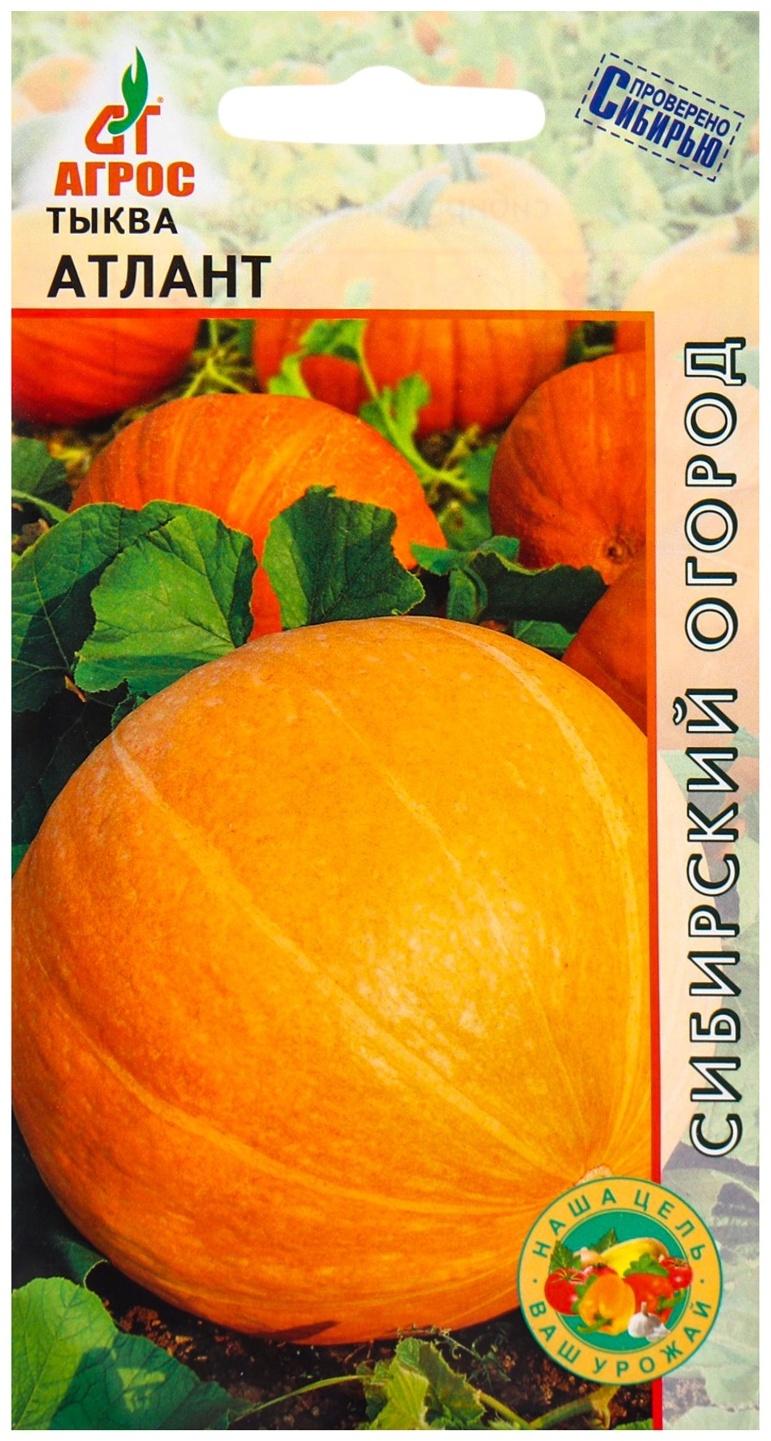 Семена Тыква