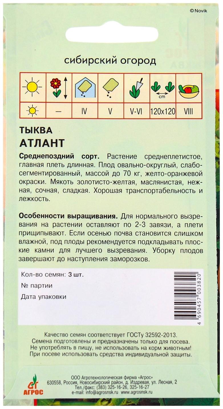 Семена Тыква