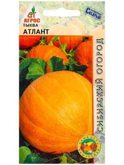 Семена Тыква