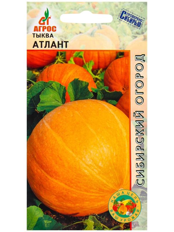 Семена Тыква