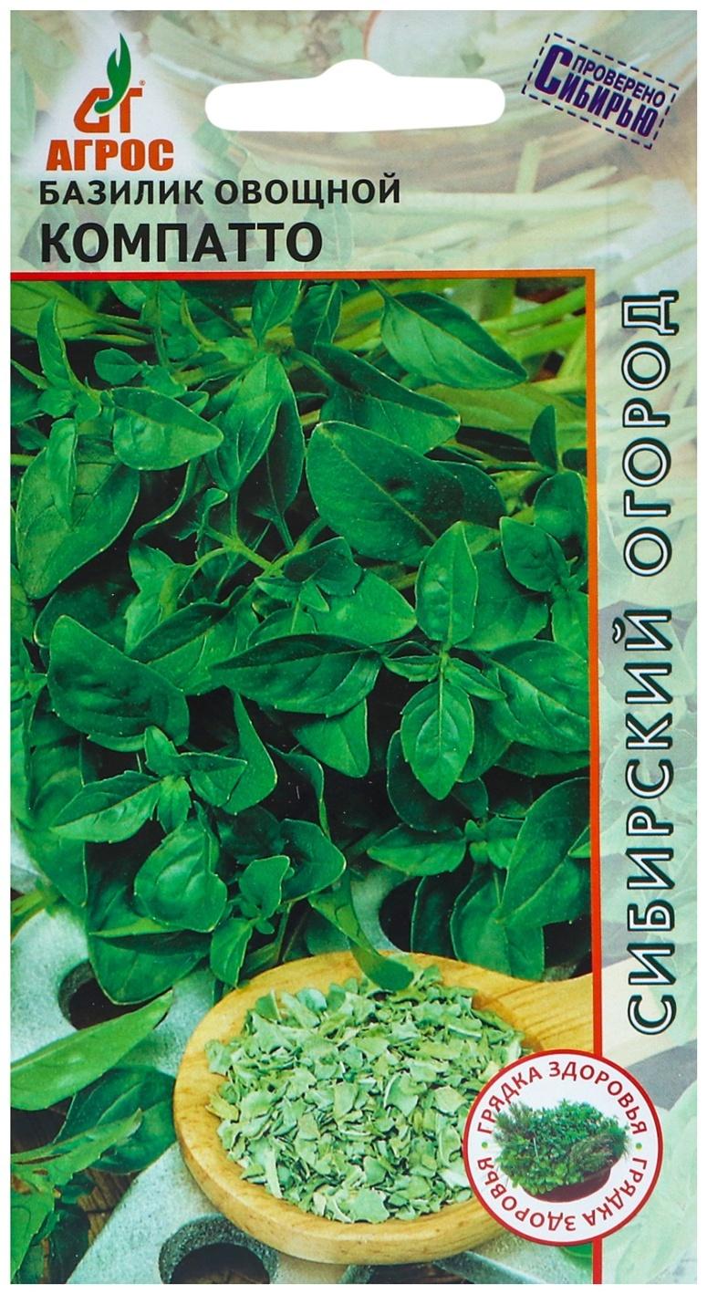 Семена Базилик