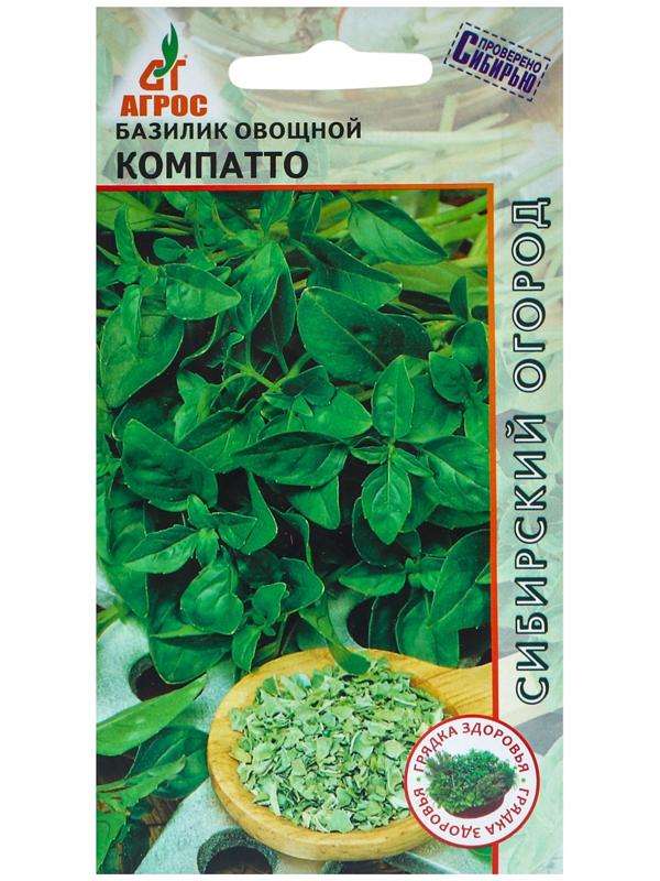 Семена Базилик