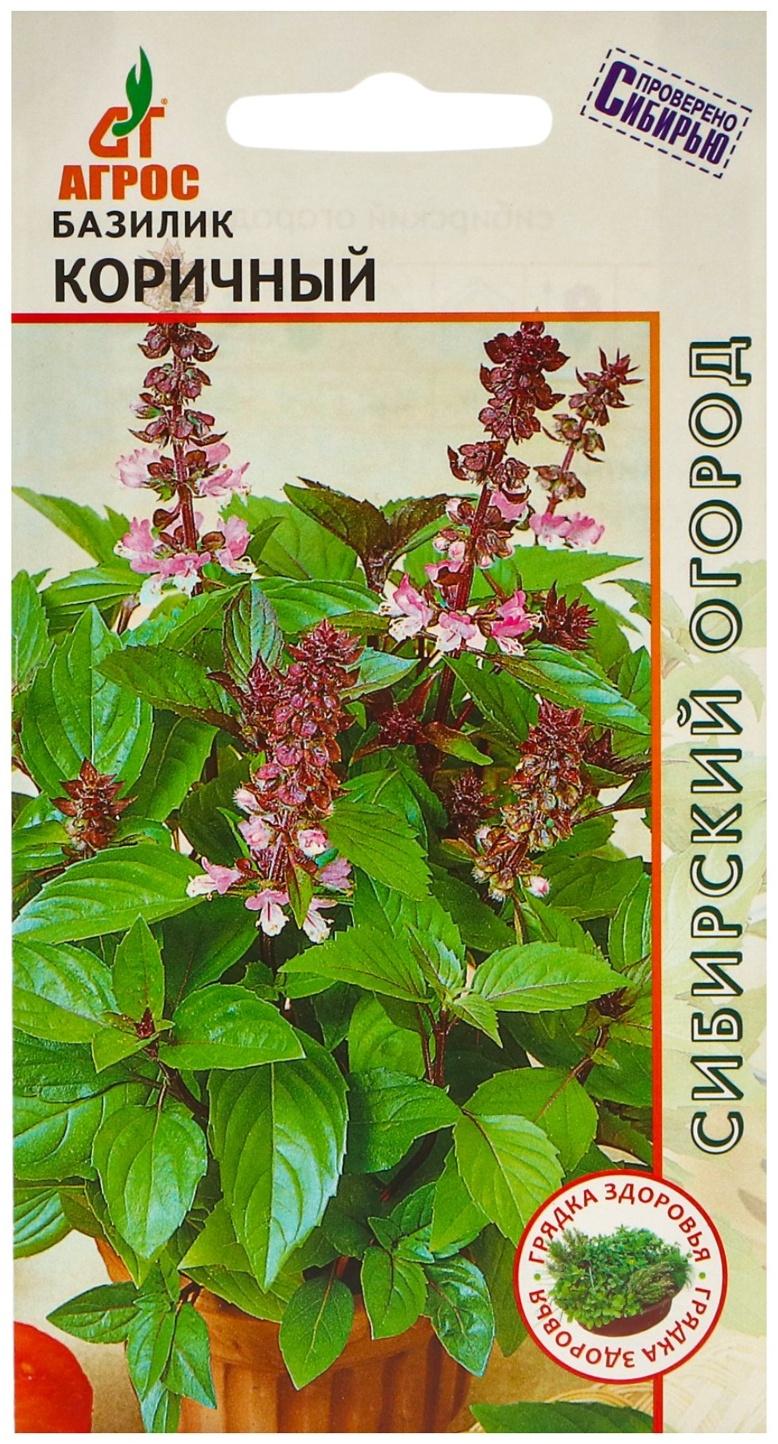 Семена Базилик