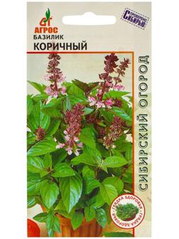 Семена Базилик