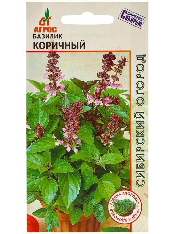 Семена Базилик