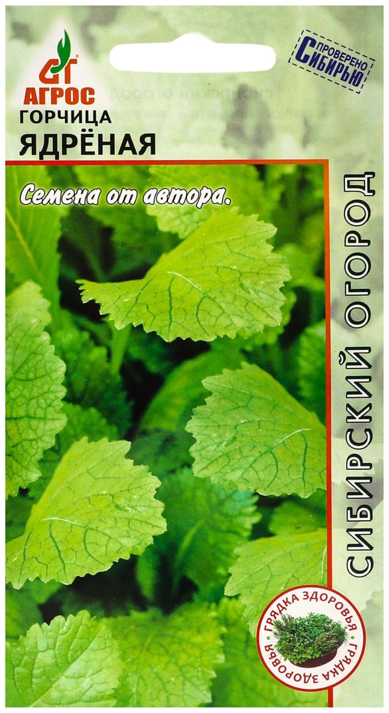 Семена Горчица