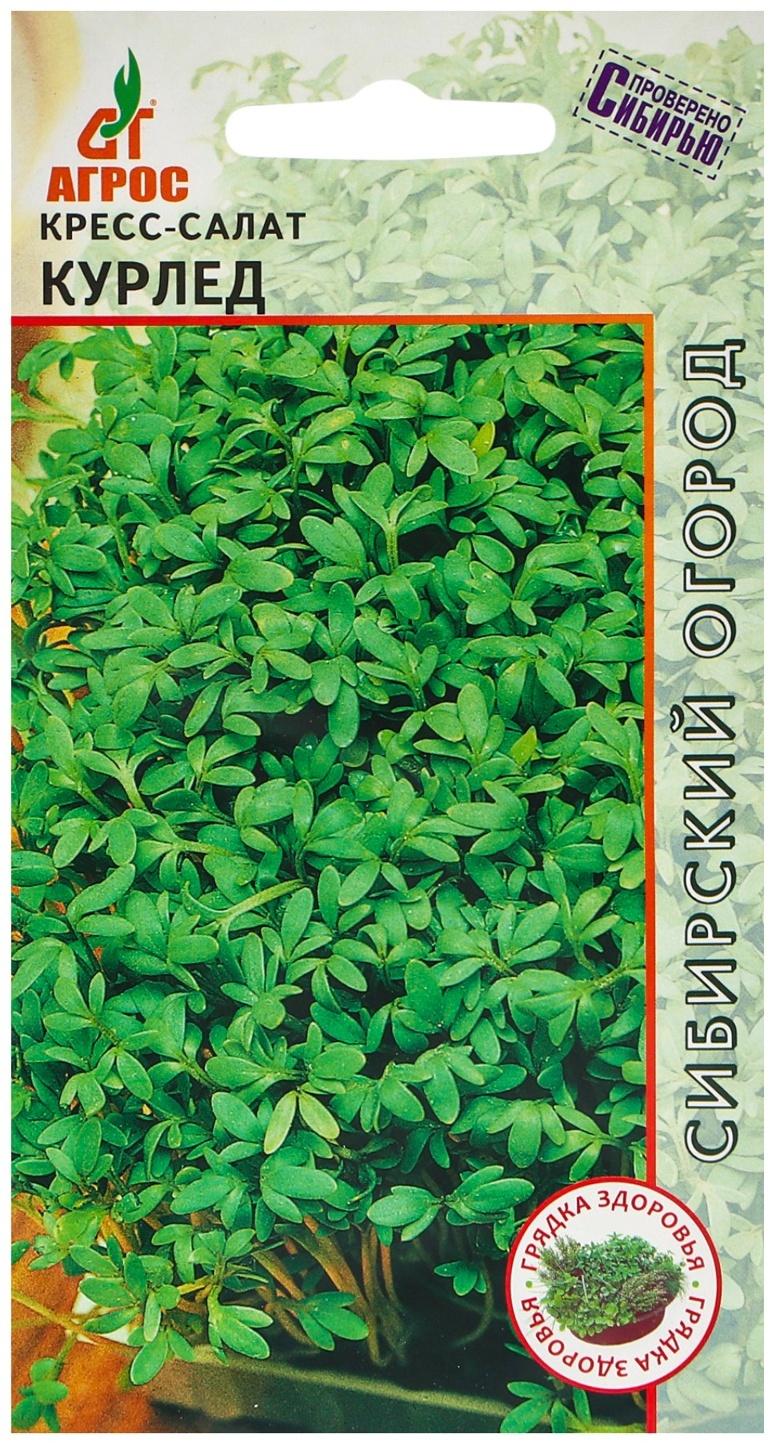 Семена Кресс-салат