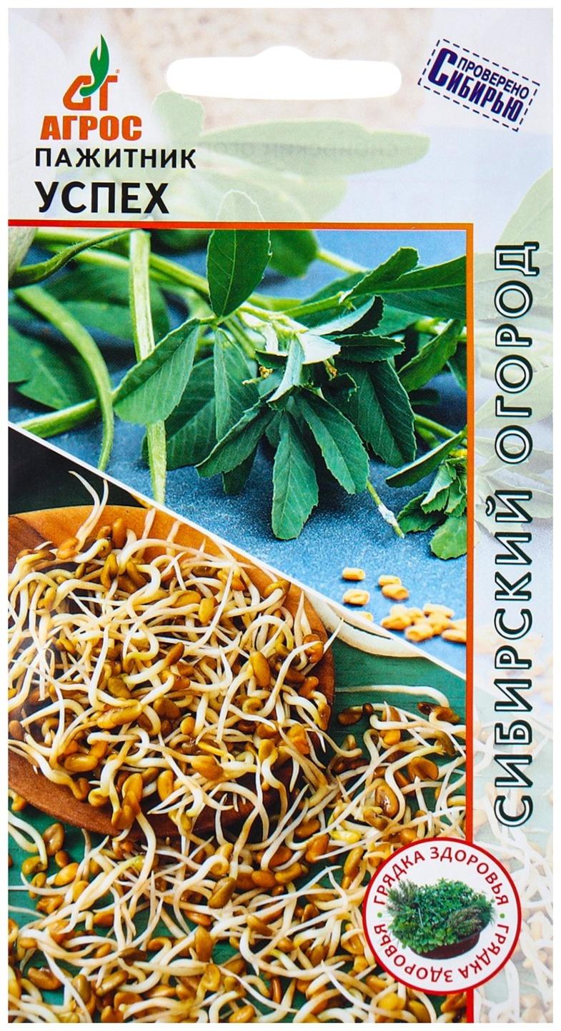 Семена Пажитник