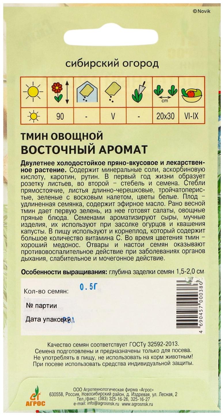 Семена Тмин