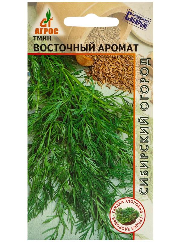 Семена Тмин