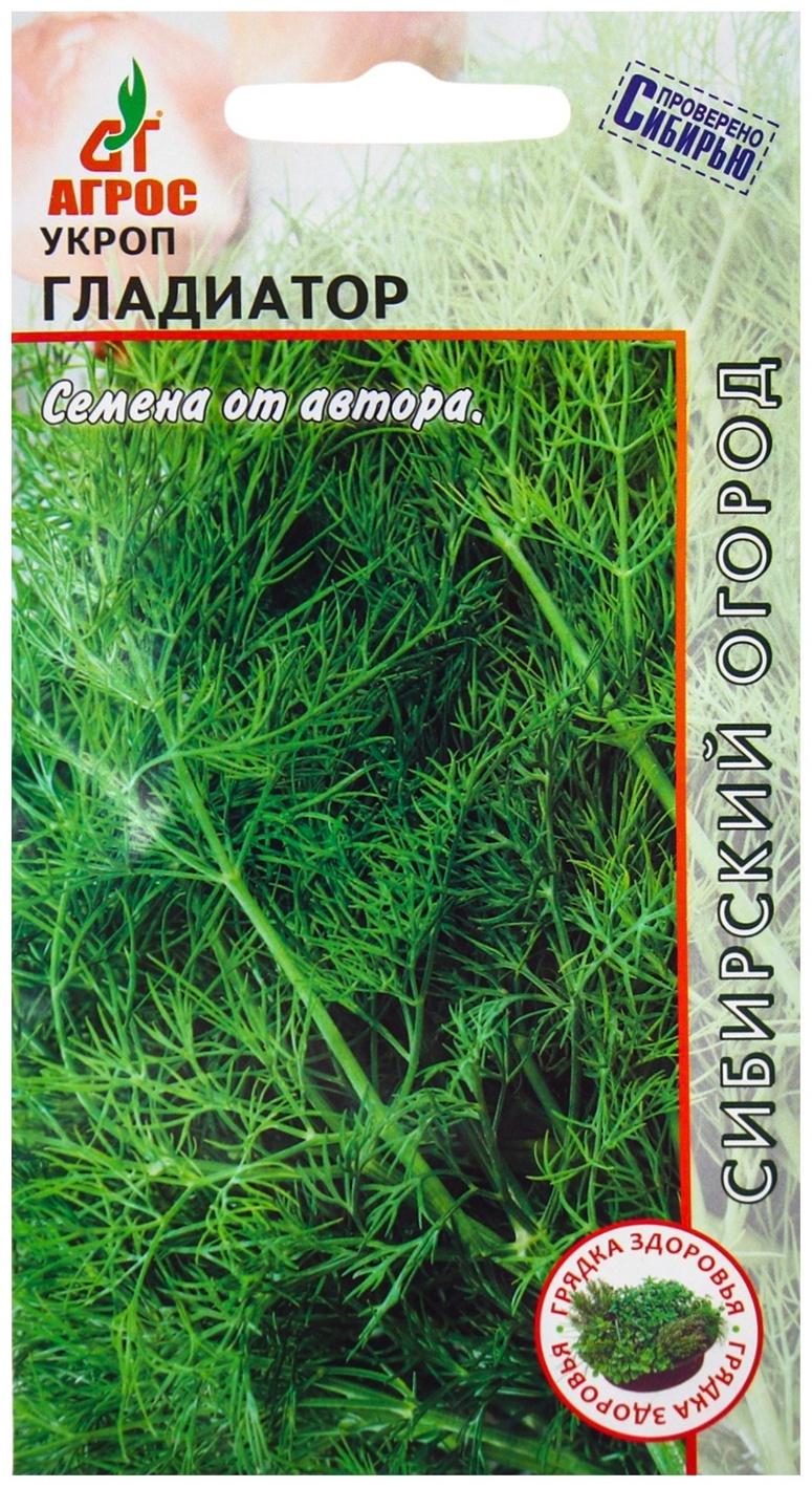 Семена Укроп