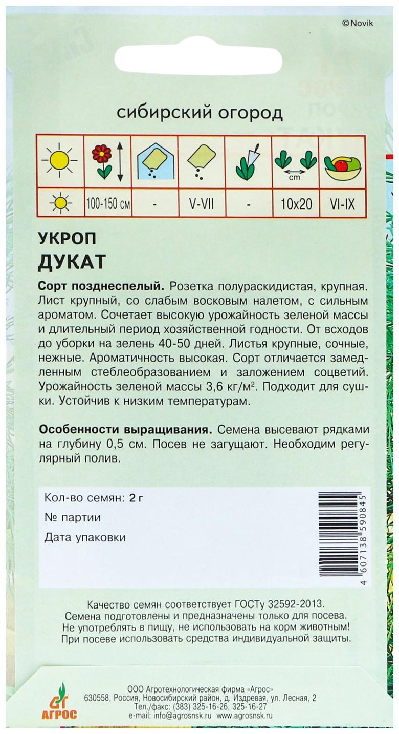 Семена Укроп