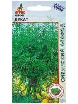 Семена Укроп