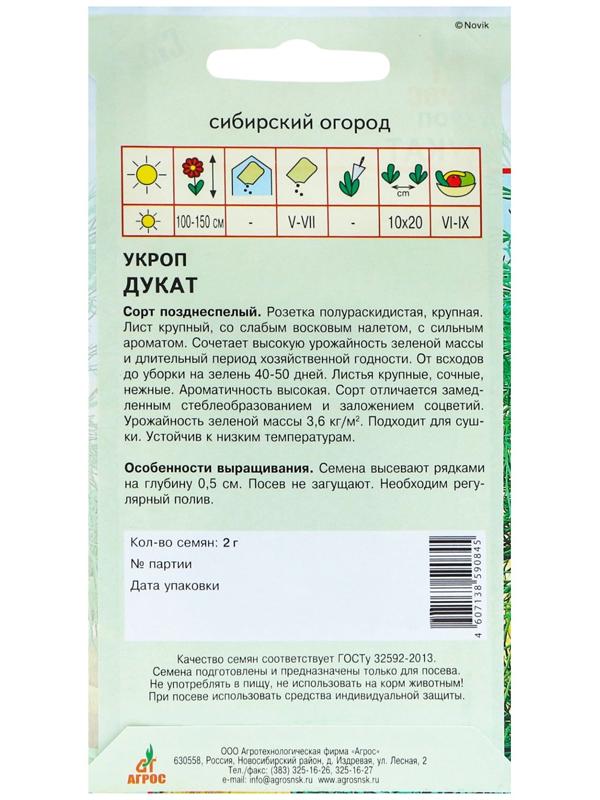 Семена Укроп