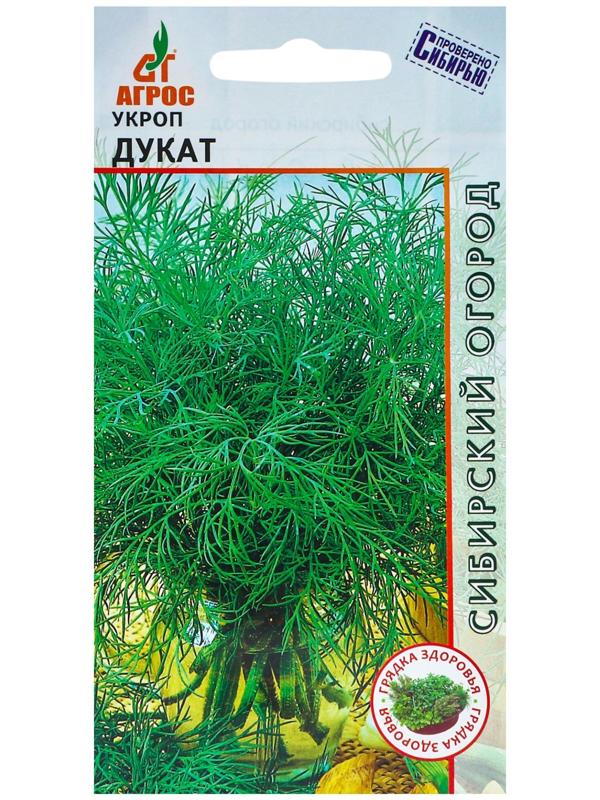 Семена Укроп