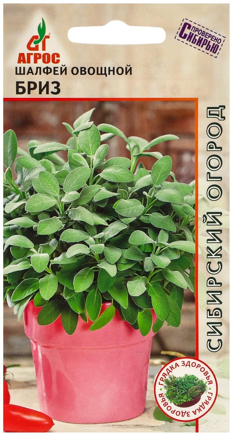 Семена Шалфей