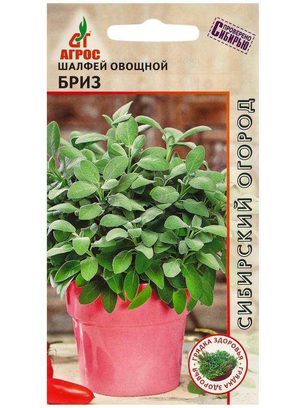 Семена Шалфей