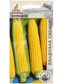 Семена Кукуруза
