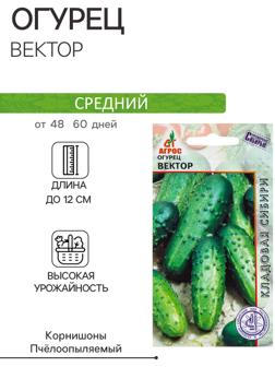 Семена Огурец