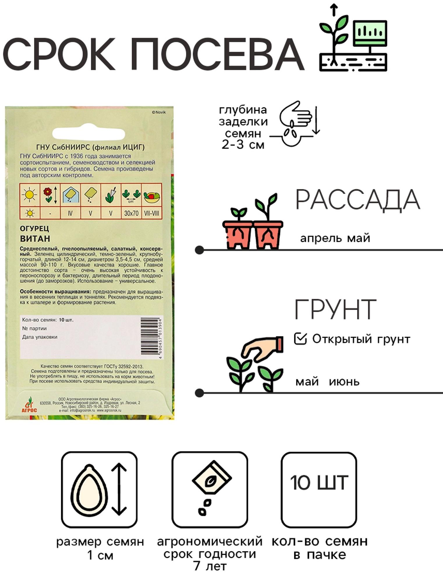 Семена Огурец