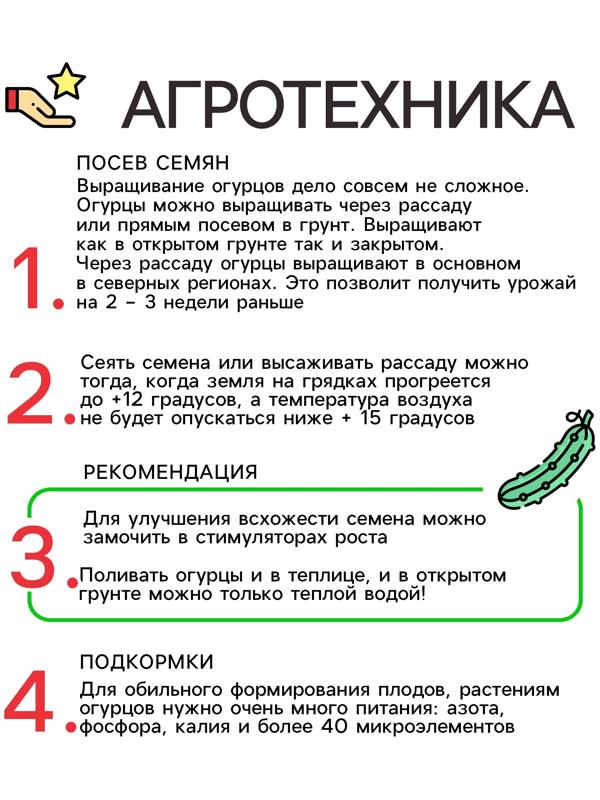 Семена Огурец