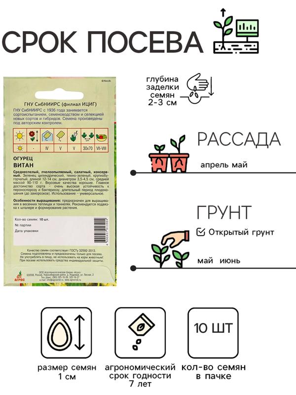 Семена Огурец