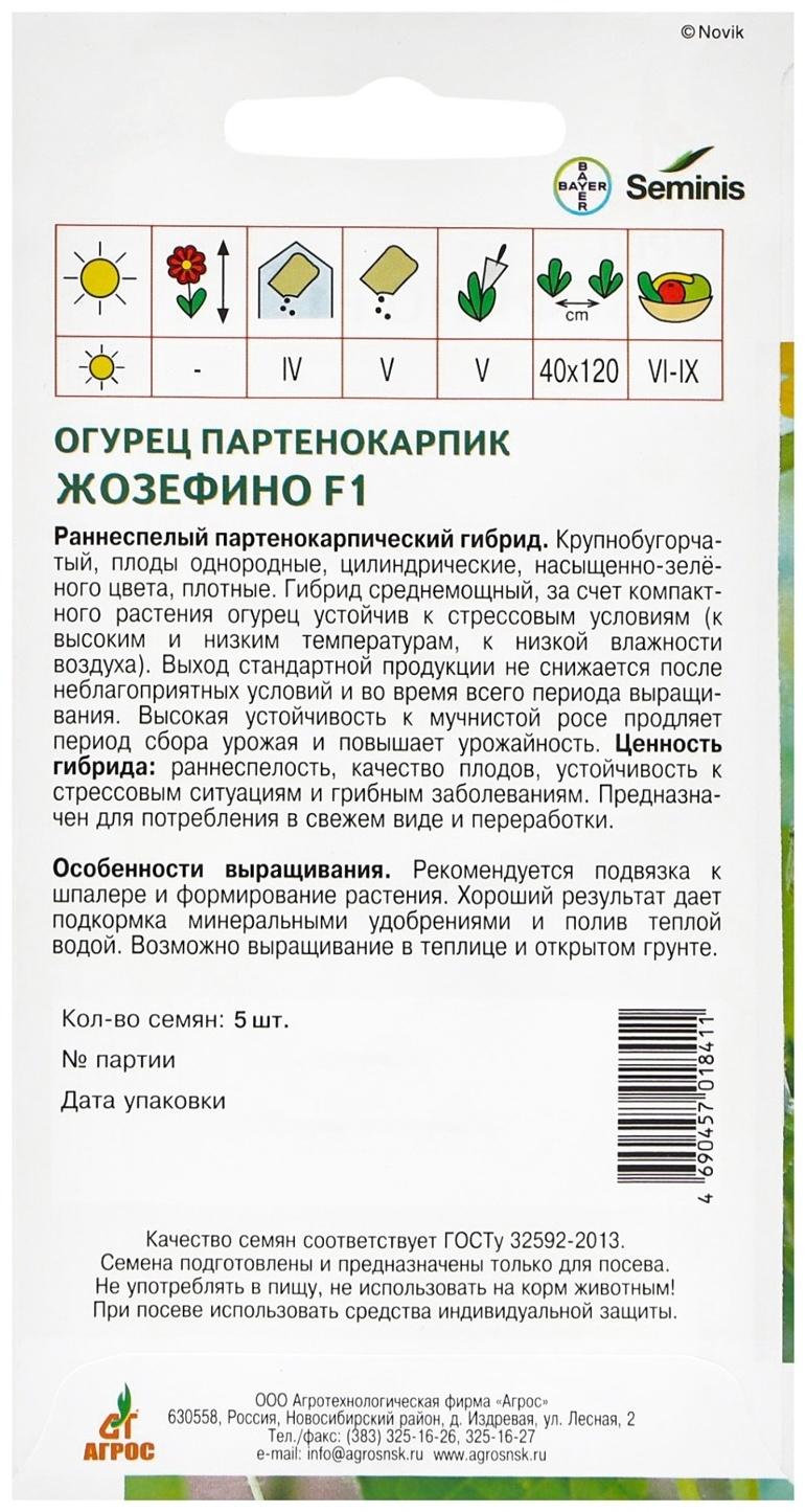 Семена Огурец