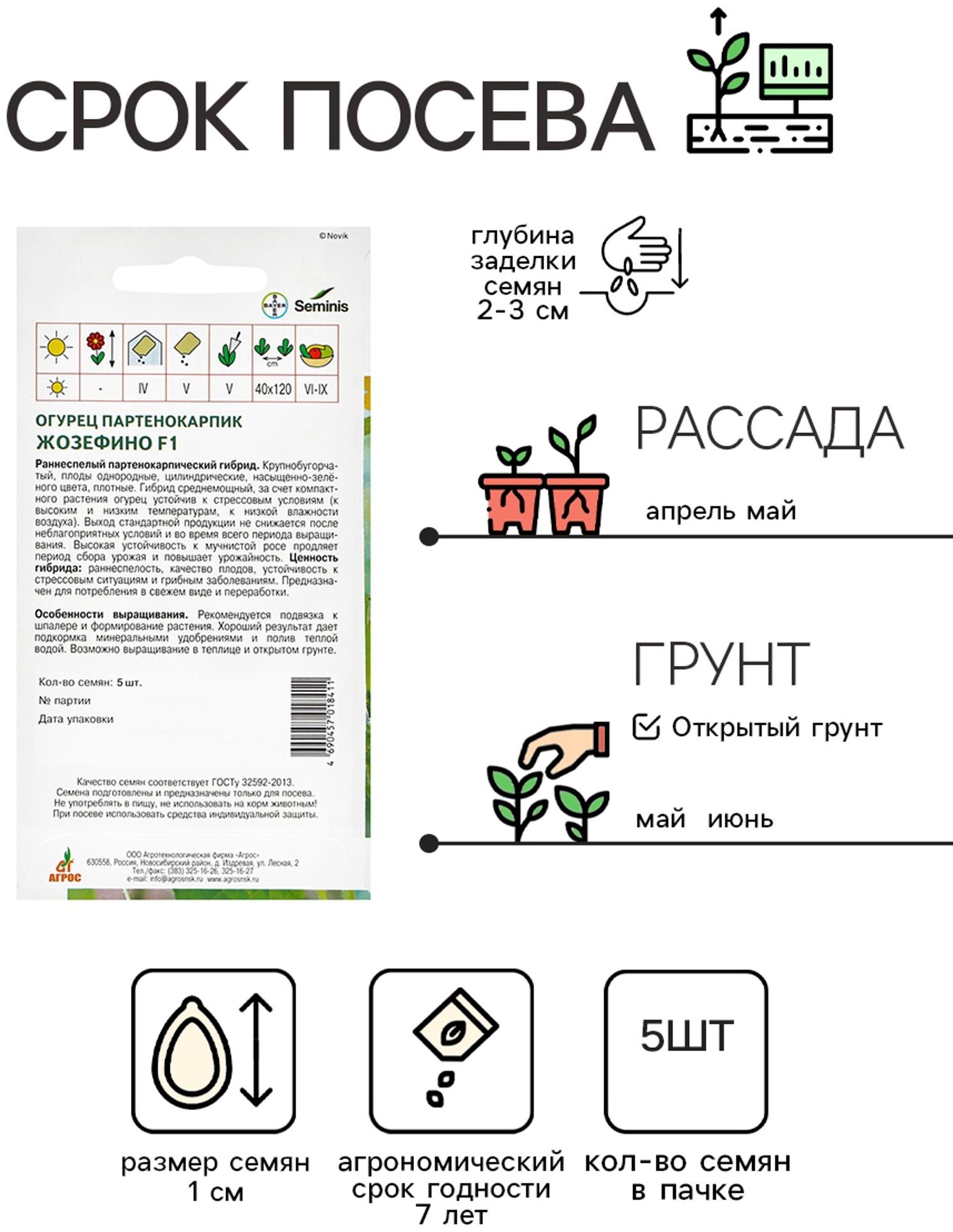 Семена Огурец