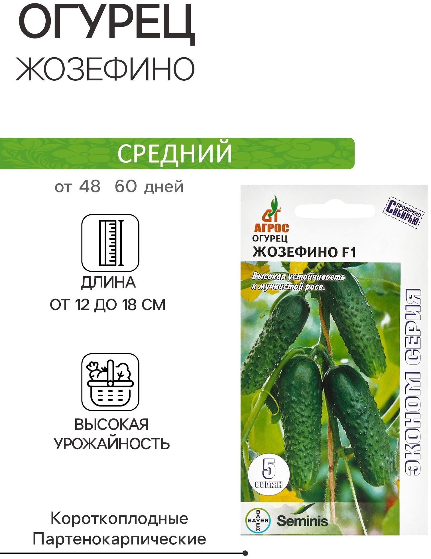 Семена Огурец