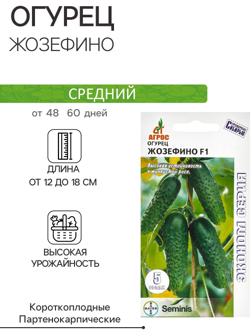 Семена Огурец