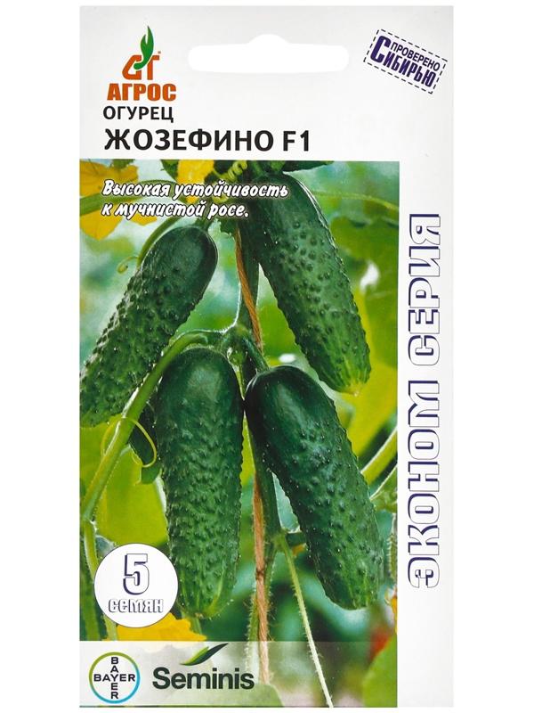 Семена Огурец