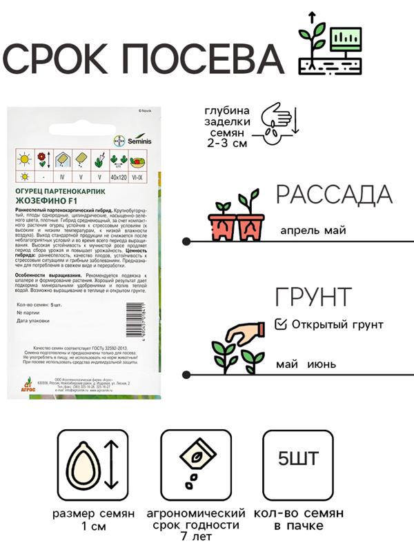 Семена Огурец