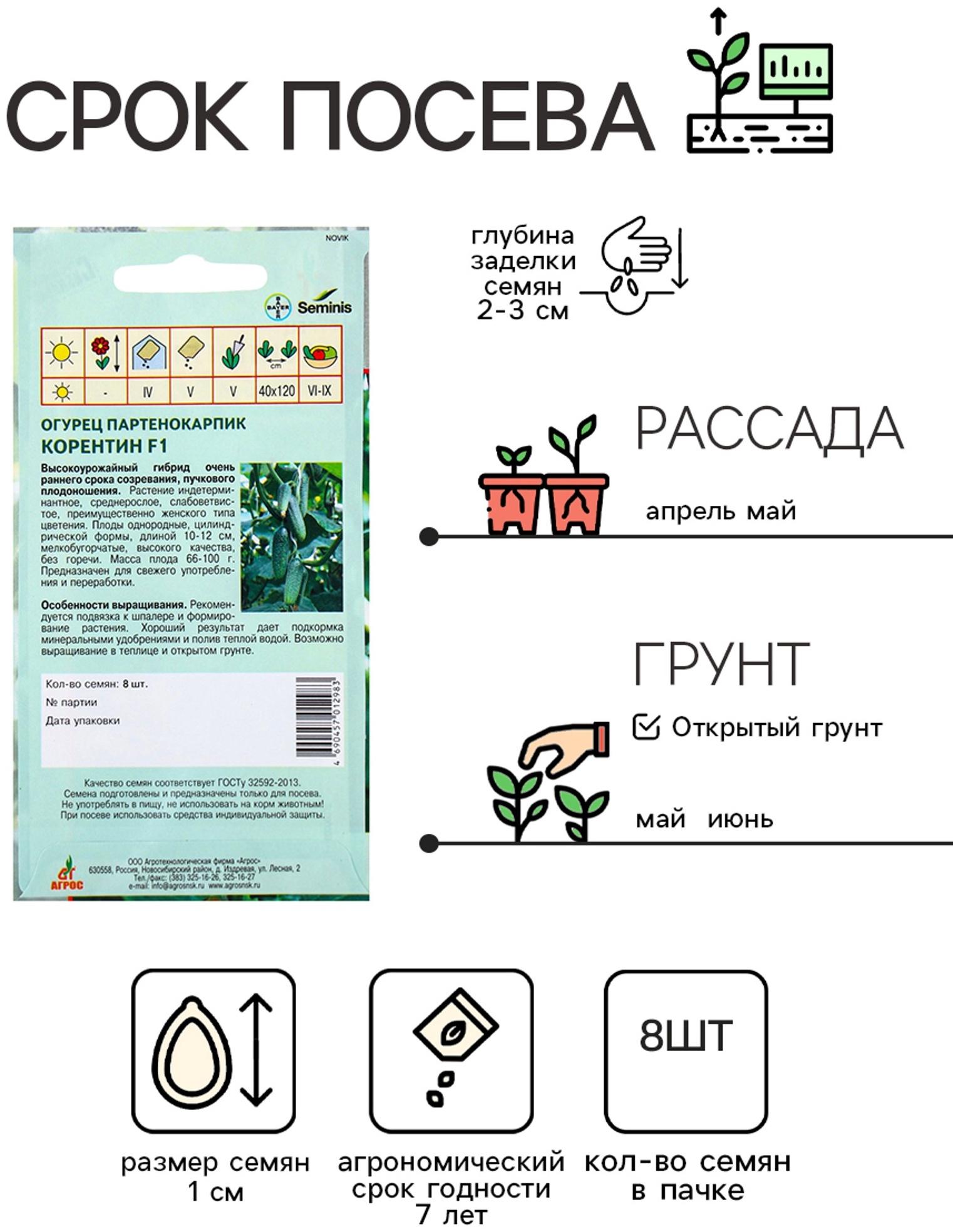 Семена Огурец