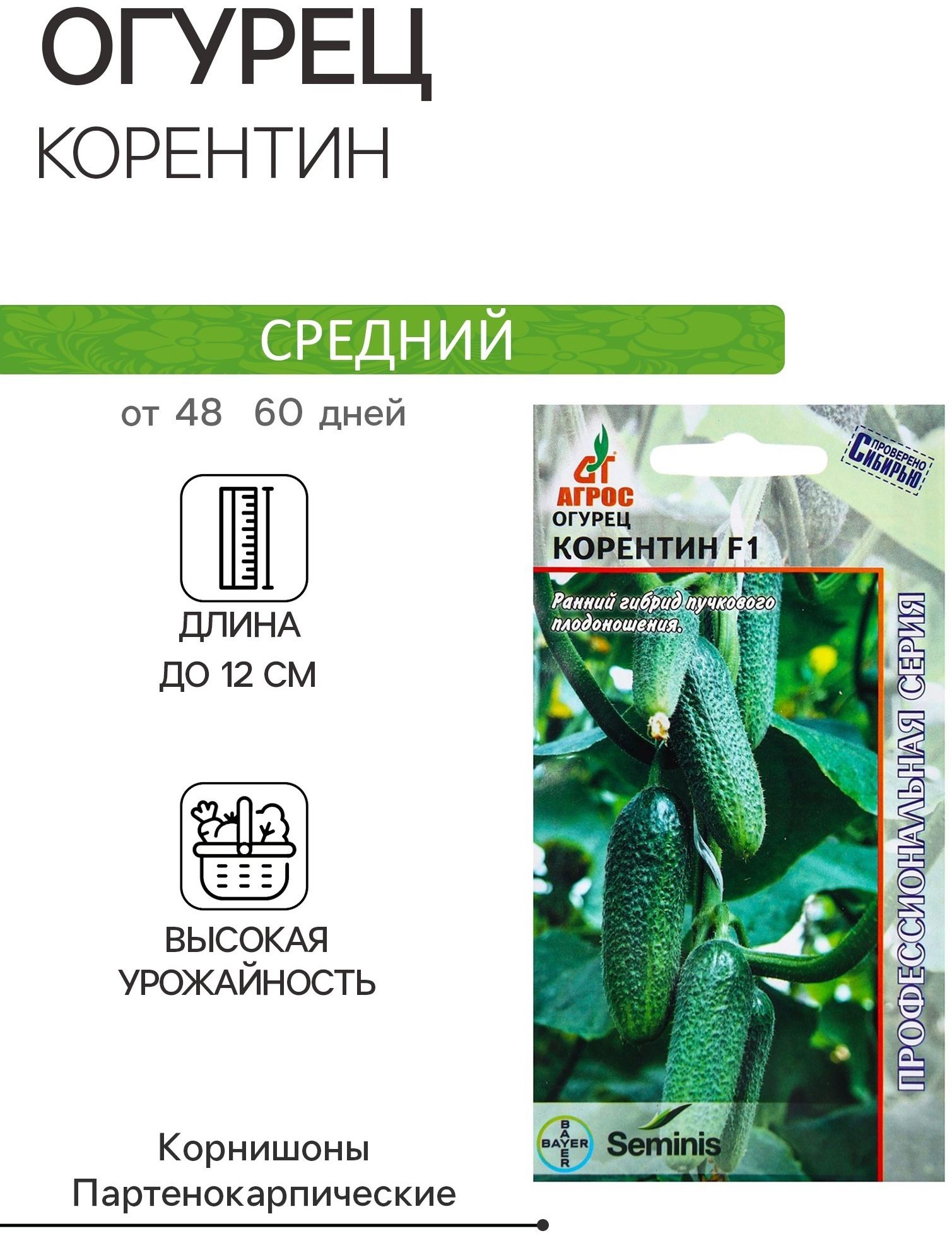 Семена Огурец