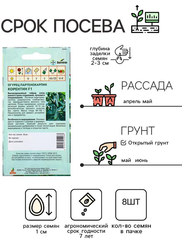 Семена Огурец