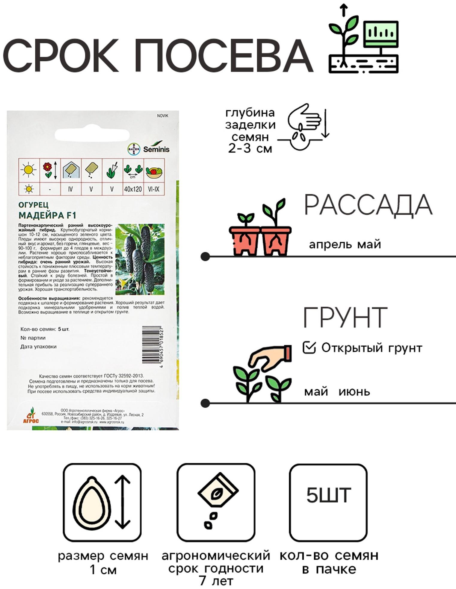 Семена Огурец