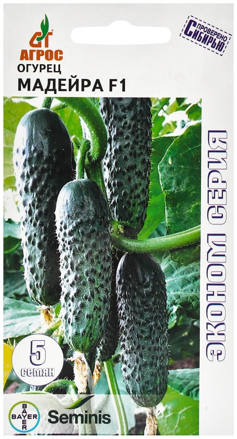 Семена Огурец